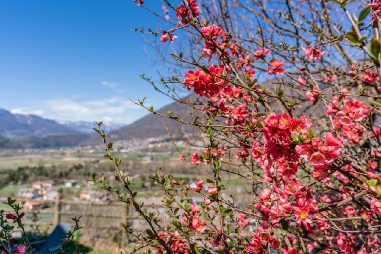 Alle Coccinelle, Levico Terme Ngoại thất bức ảnh